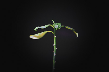 Grow Up,成長